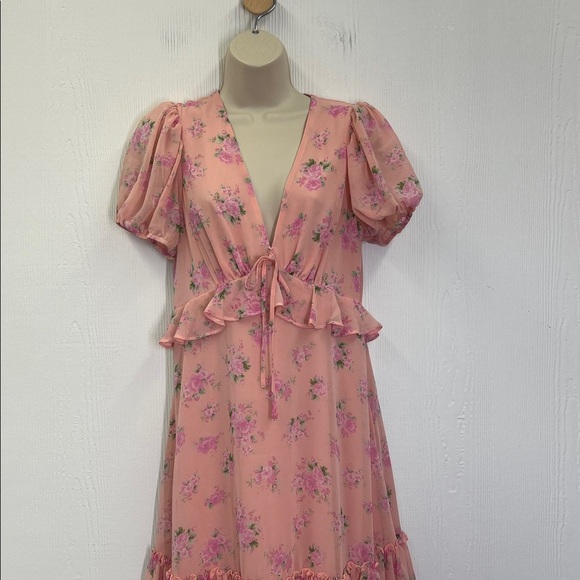 LoveShackFactory X Target - Fleur Chiffon Pink Floral Lined Maxi Dress Size 8 - Picture 7 of 12